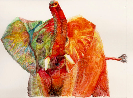 Elephant - Watercolour